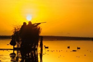 Blog post feature image - Discover the Allure of Hunting in Southern Louisiana’s Bayous