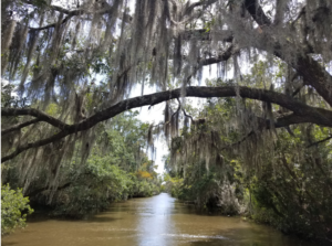 Blog post feature image - Whispers from the Bayou: The Tale of the Rougarou